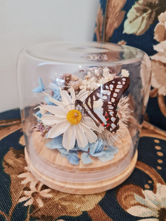 Forever Bloom & Butterfly / Cloche Mini