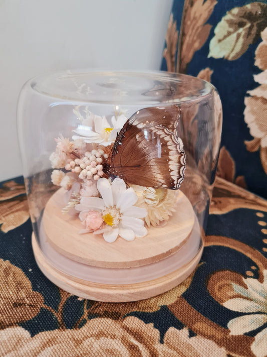 Forever Bloom & Butterfly / Cloche Mini