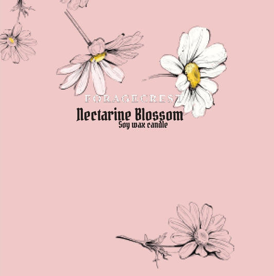 Nectarine & Blossom
